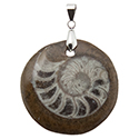Fossil Ammonite - Round Necklace