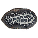 Septarian Nodule - Large