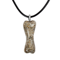 Genuine Fossil Dinosaur Bone Necklace