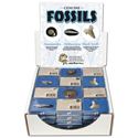 Fossil Assortment Display Pack 4