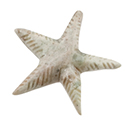 Carved Stone Starfish