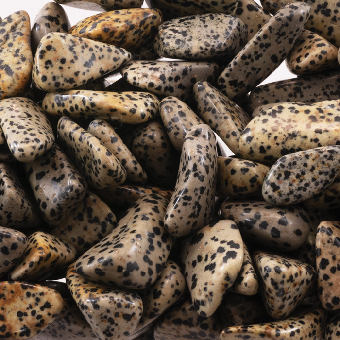 Dalmatian Jasper Tumbled Stone Silver Streak