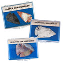 ALL Educational Boxes