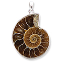 Ammonite Necklace - Silver