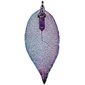 Leaf with Gemstone Point Necklace