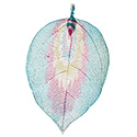 Feather Painted Leaf Necklace - Silver
