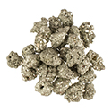 Iron Pyrite - Medium